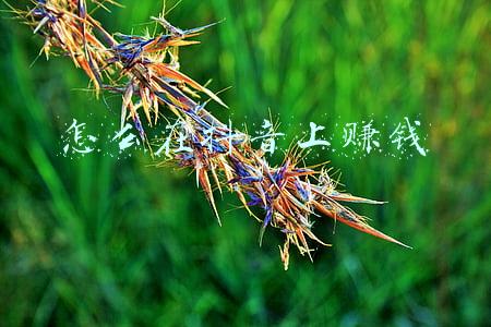 怎么在抖音上面赚钱(抖音赚钱方式?)