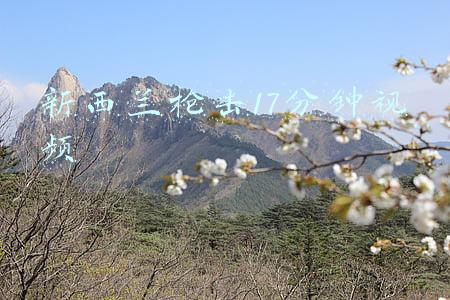 新西兰枪击17分钟视频