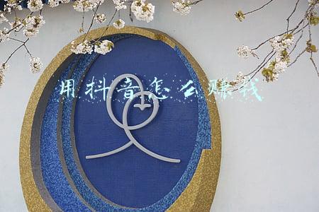 抖音赚钱方式？：用抖音怎么赚钱广告