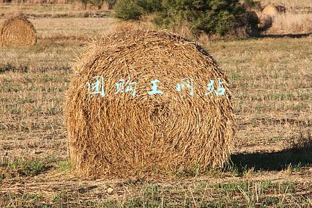 团购王网站