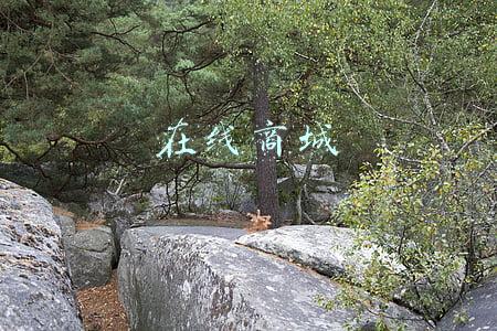 在线商城