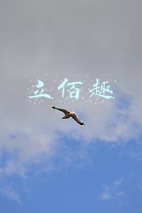 立佰趣