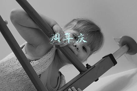 周年庆
