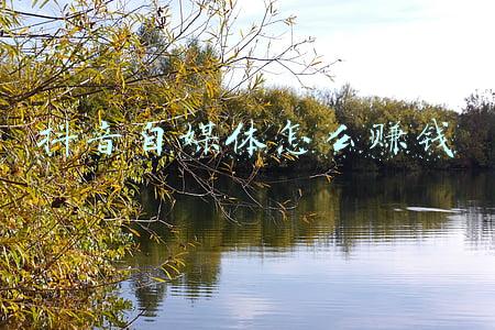 抖音自媒体怎么赚钱 抖音自媒体怎么赚钱
