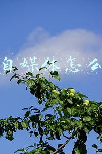 抖音自媒体怎么挣钱 一个人做自媒体，怎么利用短视频赚钱