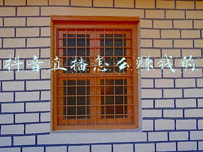 抖音直播怎么赚钱的几个方法;我不明白抖音上,很多主播在直播时只有十几个观众,这真的能赚钱吗?