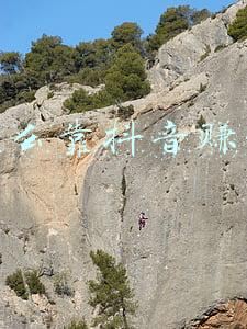 如何通过抖音流量变现赚钱?:怎么靠抖音赚钱流量