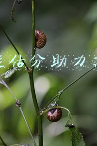 智能估分助力高考