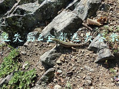 迷失岛2全部通关答案