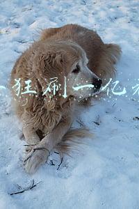 女子狂刷一亿礼物