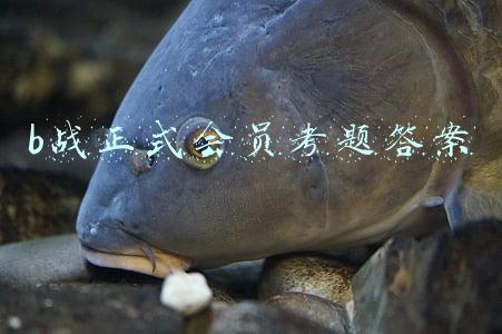 b战正式会员考题答案
