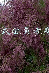 b战正式会员考题答案