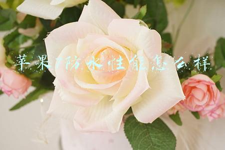 苹果7防水性能怎么样