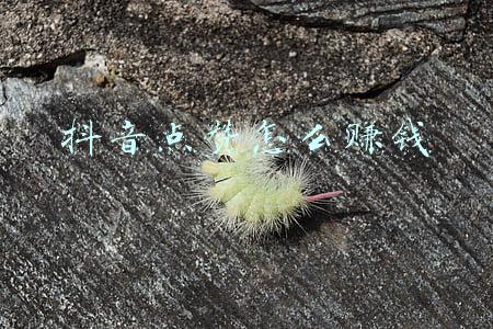 抖音点赞怎么赚钱