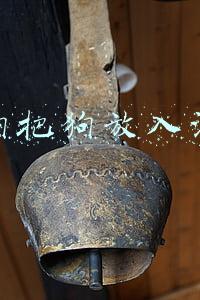 虐狗把狗放入沸水 虐狗把狗放入沸水