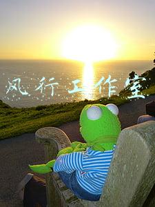 风行工作室
