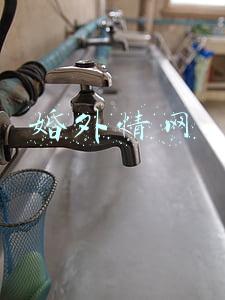 婚外情网