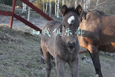 知钱俱乐部