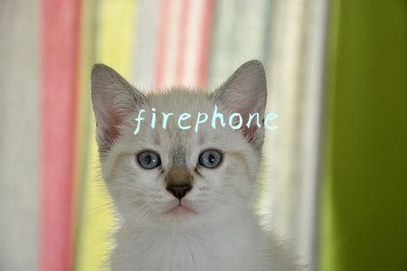 firephone
