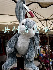 拍抖音赚钱吗?:抖音视频有钱赚吗