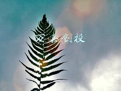 万嘉集团(00401.HK)盈喜：预计中期实现综合净溢利 同比扭亏(万嘉企业集团)
