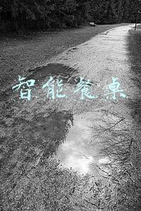 智能餐桌