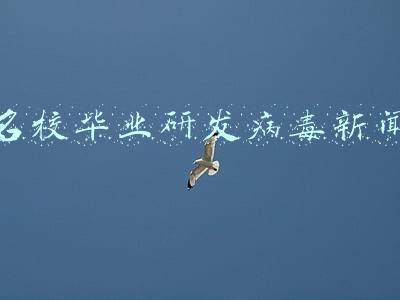 名校毕业研发病毒新闻