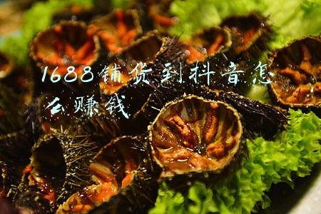 在抖音小店的商家,是怎么在1688拿货源,做一件代发的?-1688如何铺货到抖音