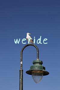 weride
