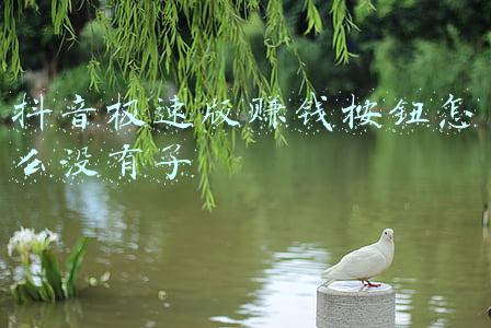 抖音极速版来赚钱按钮怎么没了-iOS 抖音极速版无法赚钱？