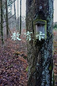 教育卡