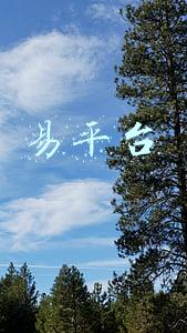 易平台