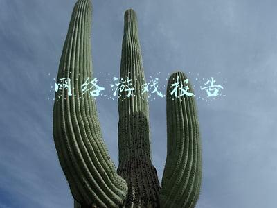 网络游戏报告