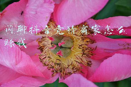 抖音显示对方今天在线是什么意思？_抖音闪购是什么平台