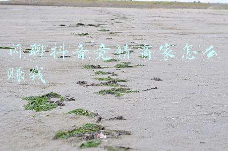 抖音直播间预言输赢怎么弄？（抖音竞猜怎么弄的）