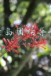 青岛团购导航
