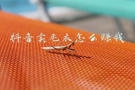抖音卖东西怎么卖_抖音里卖衣服怎么卖比较好