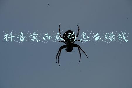 西瓜视频与抖音都下载哪个好？就有点觉得抖音的视频太短了吧，没太多吸收就下一条了，西瓜长点系统一些？（西瓜视频抖音哪个赚钱）