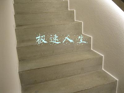 在头条极速板上发表文章有收益吗？(极速人生怎么不写了)