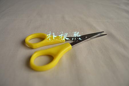 朴根熙