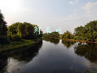 鲜果网