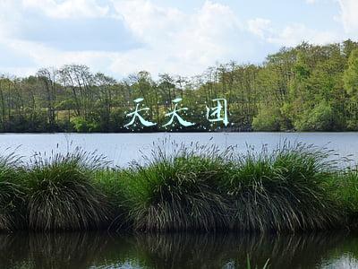 天天团
