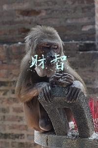 财智