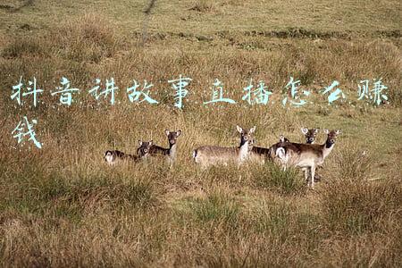 抖音怎么语音直播？-抖音怎样直播讲故事