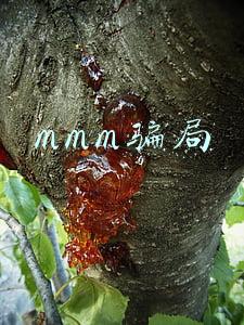 mmm骗局