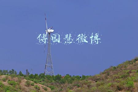 傅园慧微博