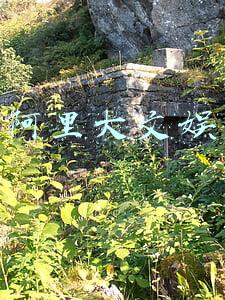 阿里大文娱