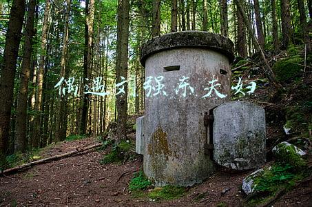 偶遇刘强东夫妇