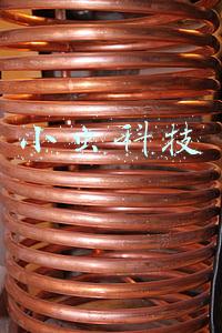 小虫科技