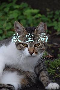 欧空局